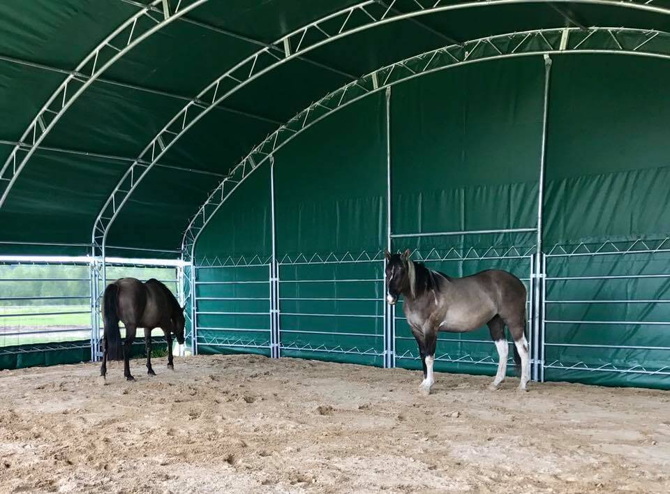 Reitplatzüberdachung 20 × 30 × 6,5 m Ansicht 3