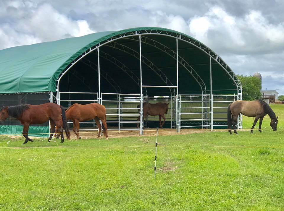 Reitplatzüberdachung 20 × 40 × 6,5 m Ansicht 2