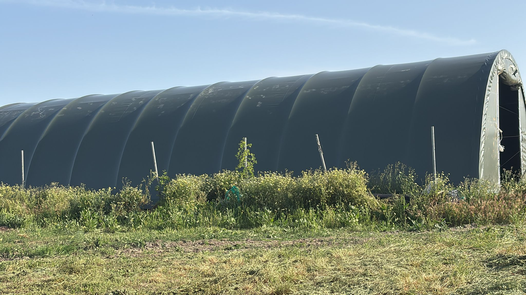 Rundbogenhalle 9,15 × 20 × 4,50 m Ansicht 3