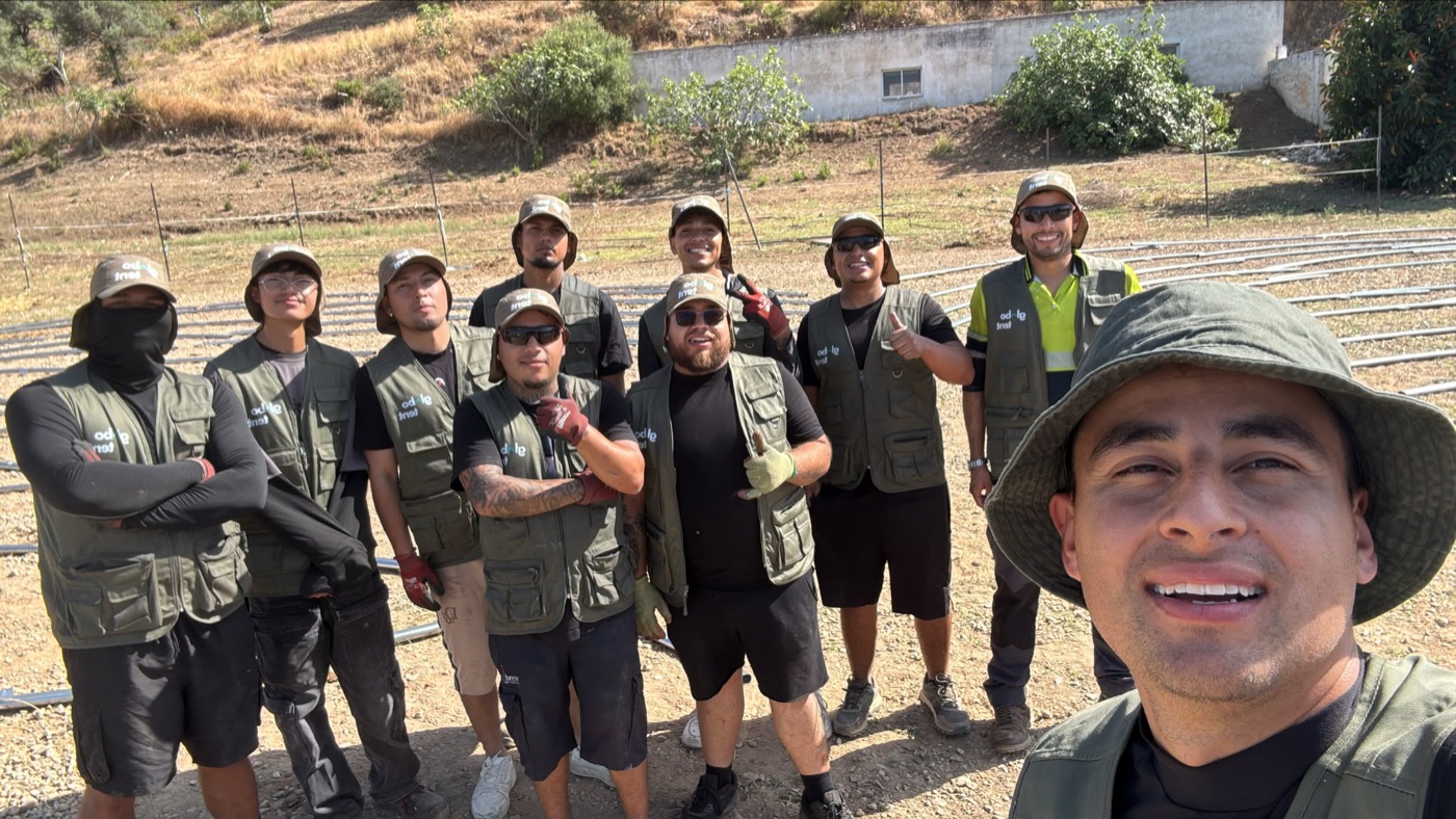 Das Montageteam von Globotent bei der Arbeit