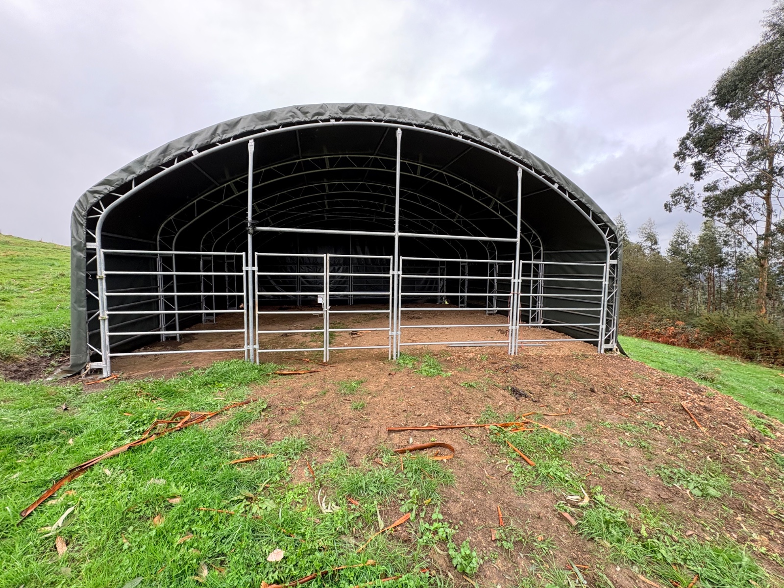 Weidezelt 10 × 10 × 4,50 m Ansicht 6
