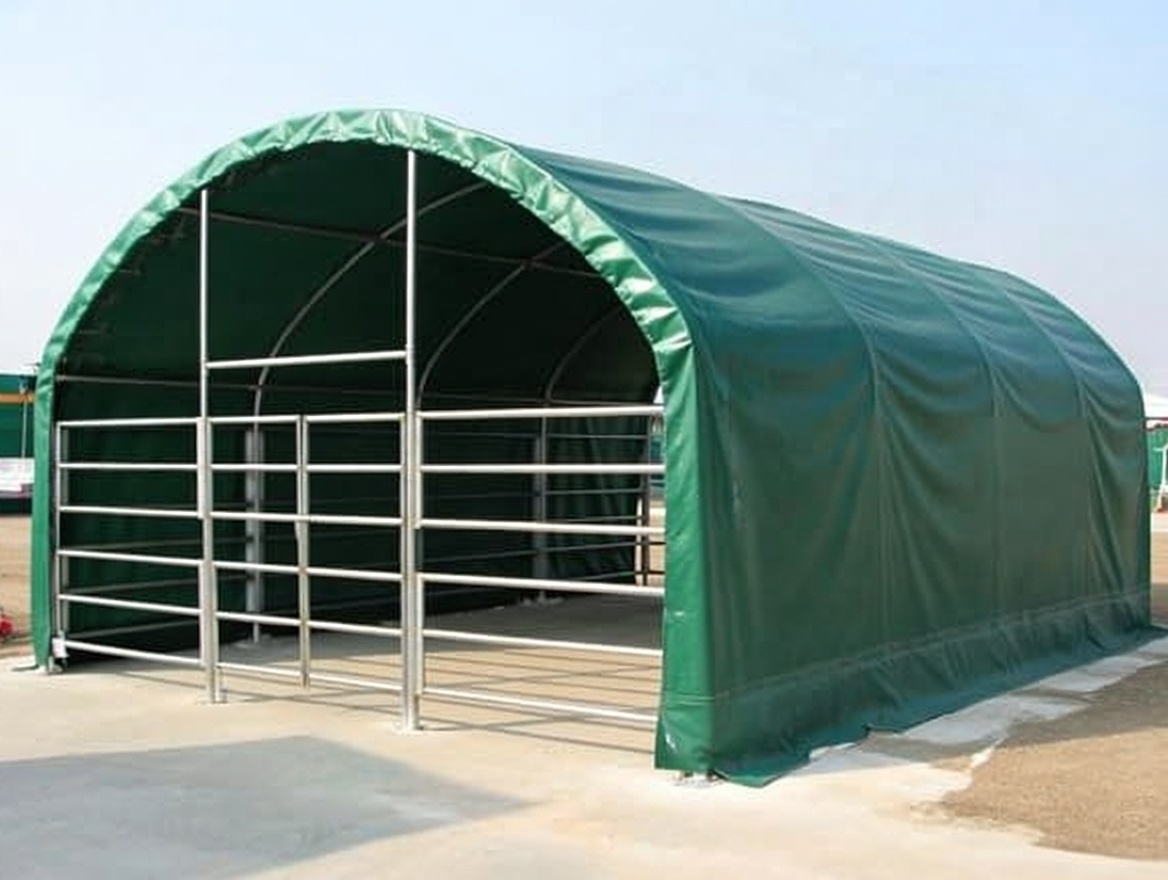 Weidezelt 8 × 8 × 4 m Ansicht 3