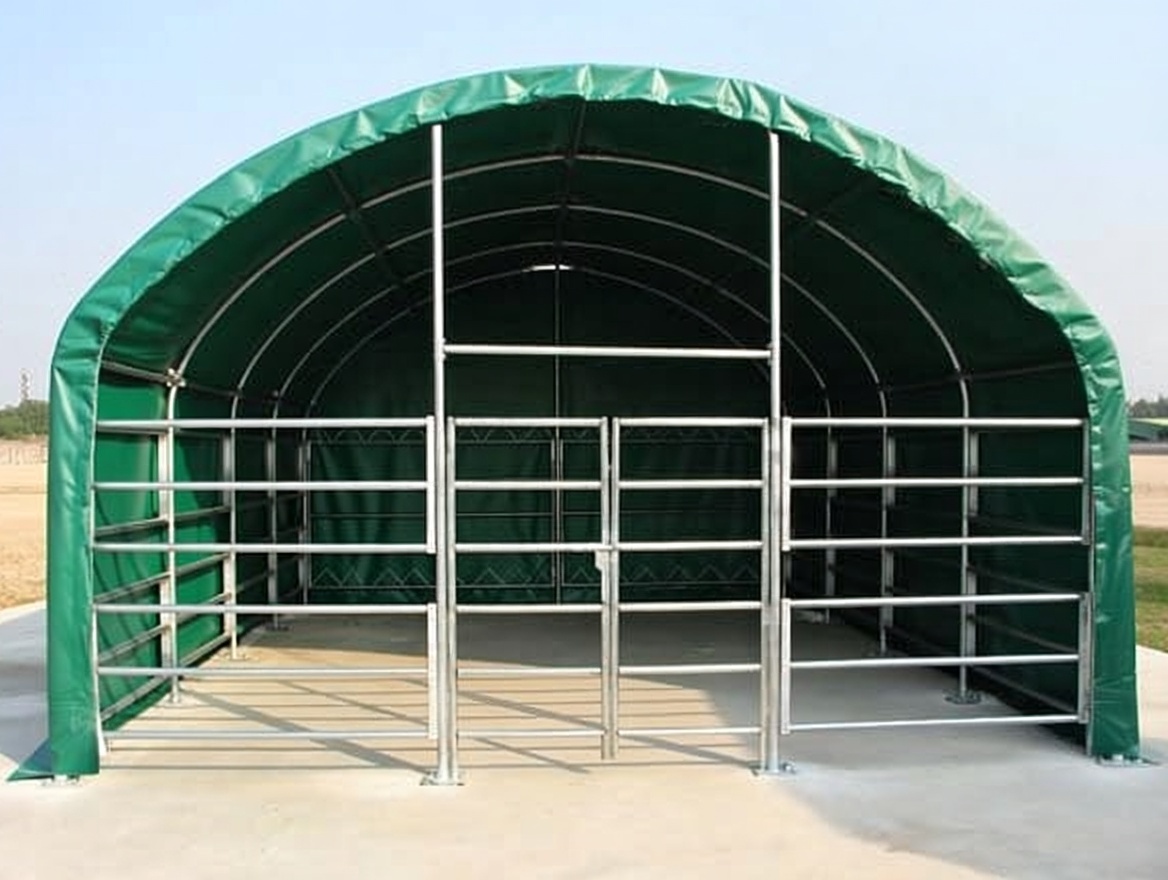 Weidezelt 8 × 8 × 4 m Ansicht 4
