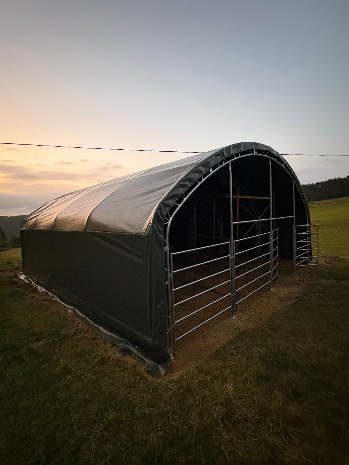Weidezelt 8 × 8 × 4 m Ansicht 6